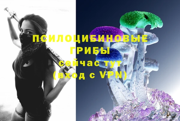 твердый Алексин