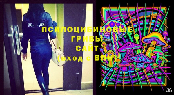 твердый Алексин