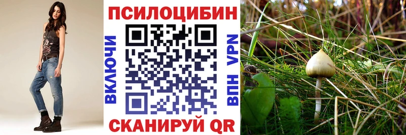 Псилоцибиновые грибы MAGIC MUSHROOMS  наркотики  Елизово 